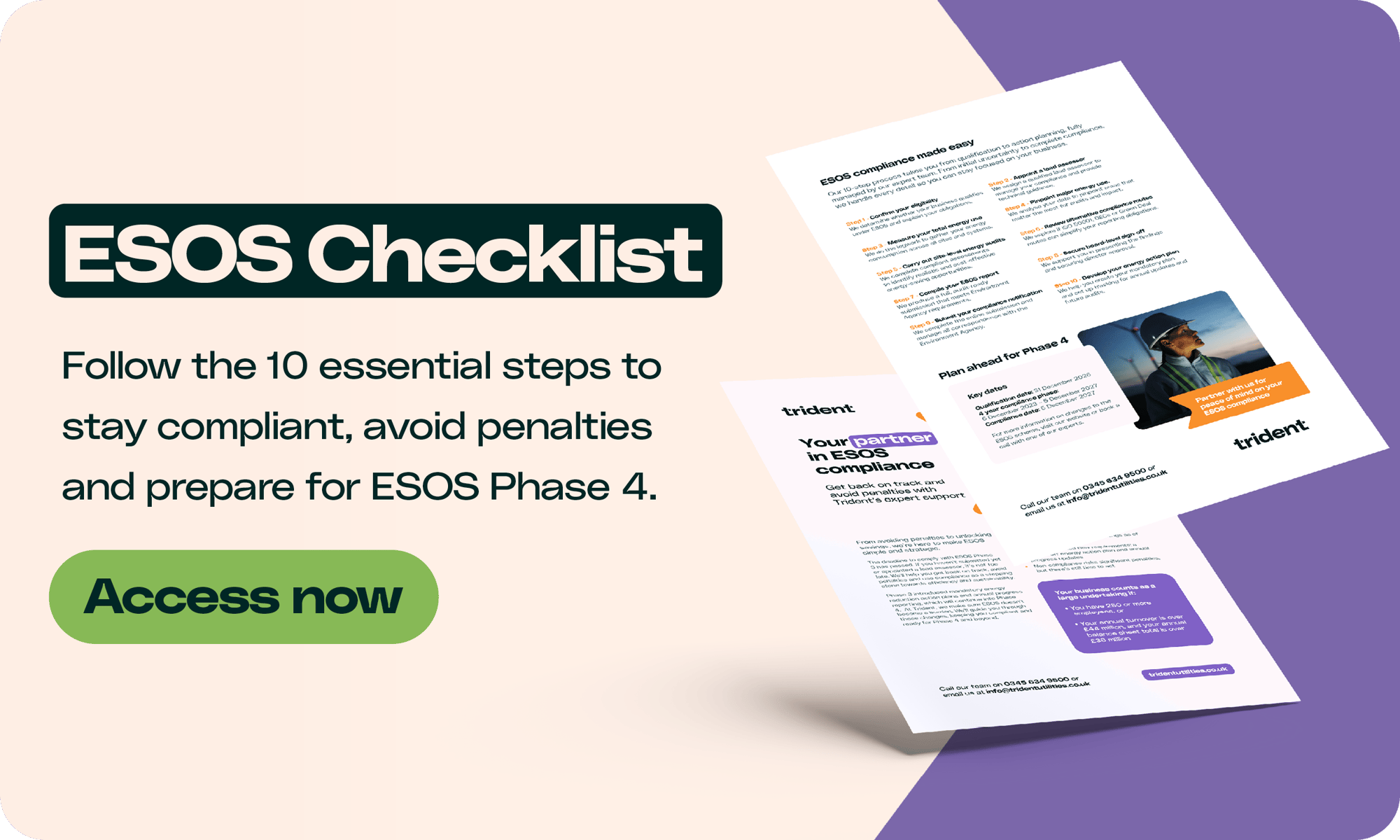ESOS Checklist - Access Now