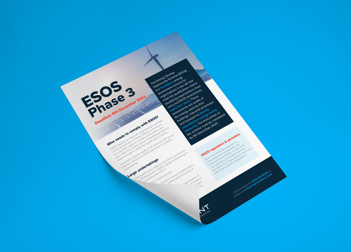 ESOS Phase 3 Guide Download