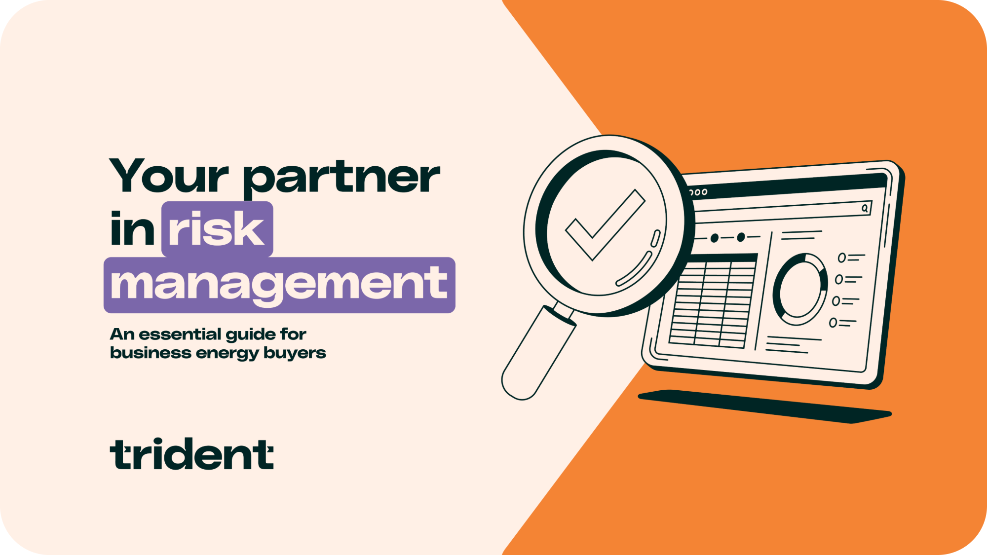 Risk Management Guide