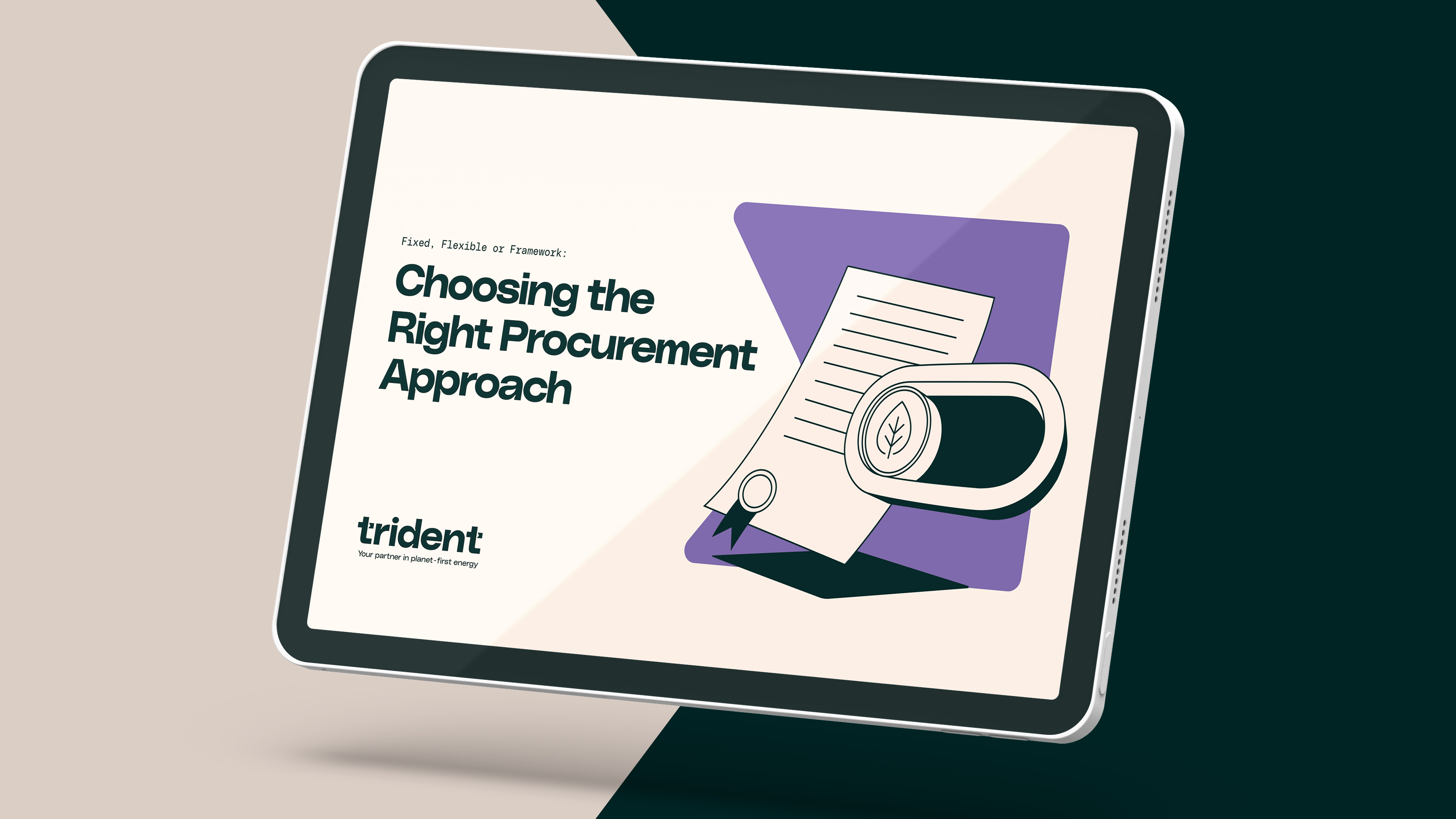 TRI041_Procurement_Guide_Mock_3