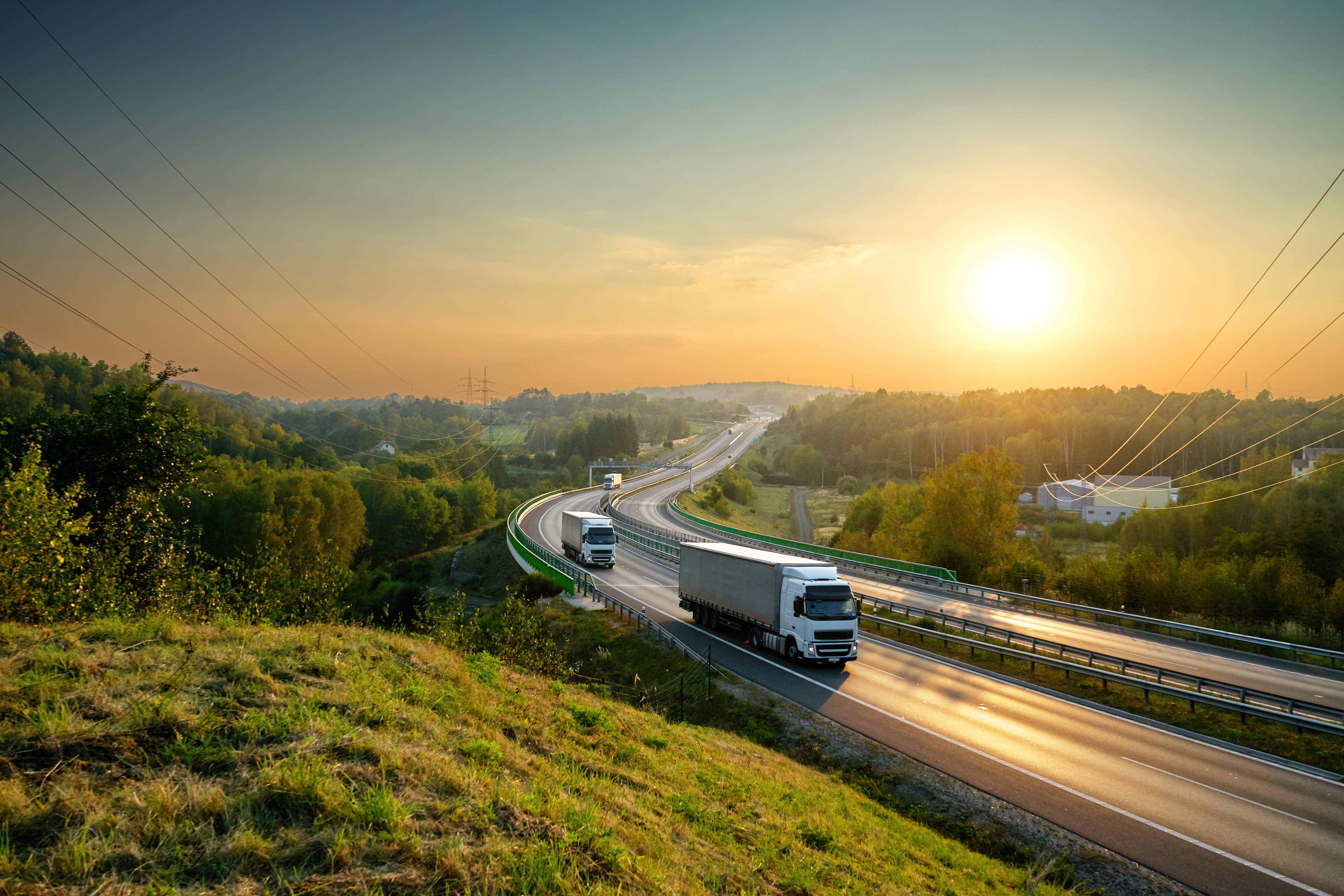 Inaction costs: Transport companies' sustainability commitments