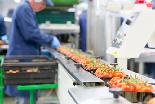 Beyond buzzwords: Food industry sustainability initiatives